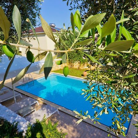 Thassian Villas Limenas  Luaran gambar